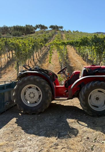 Δελτίο Τρύγου 2025